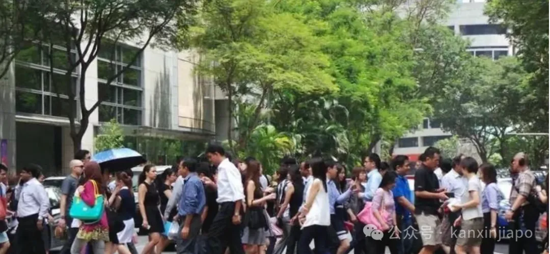 新加坡4成年轻人没有大学学位