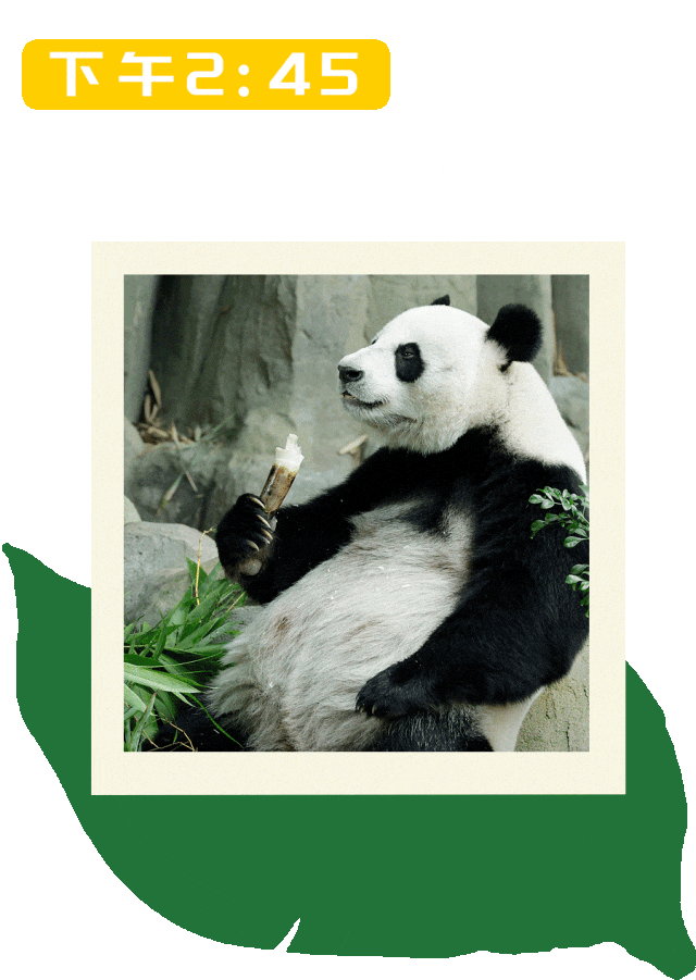 一日春游限定版野趣进行时，新加坡见！