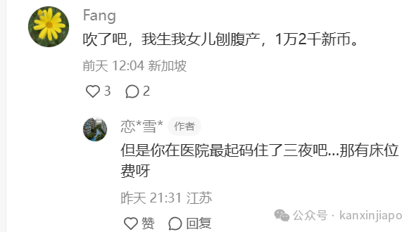 “在新加坡给小猫剖腹产要25000，比生孩子还贵！”