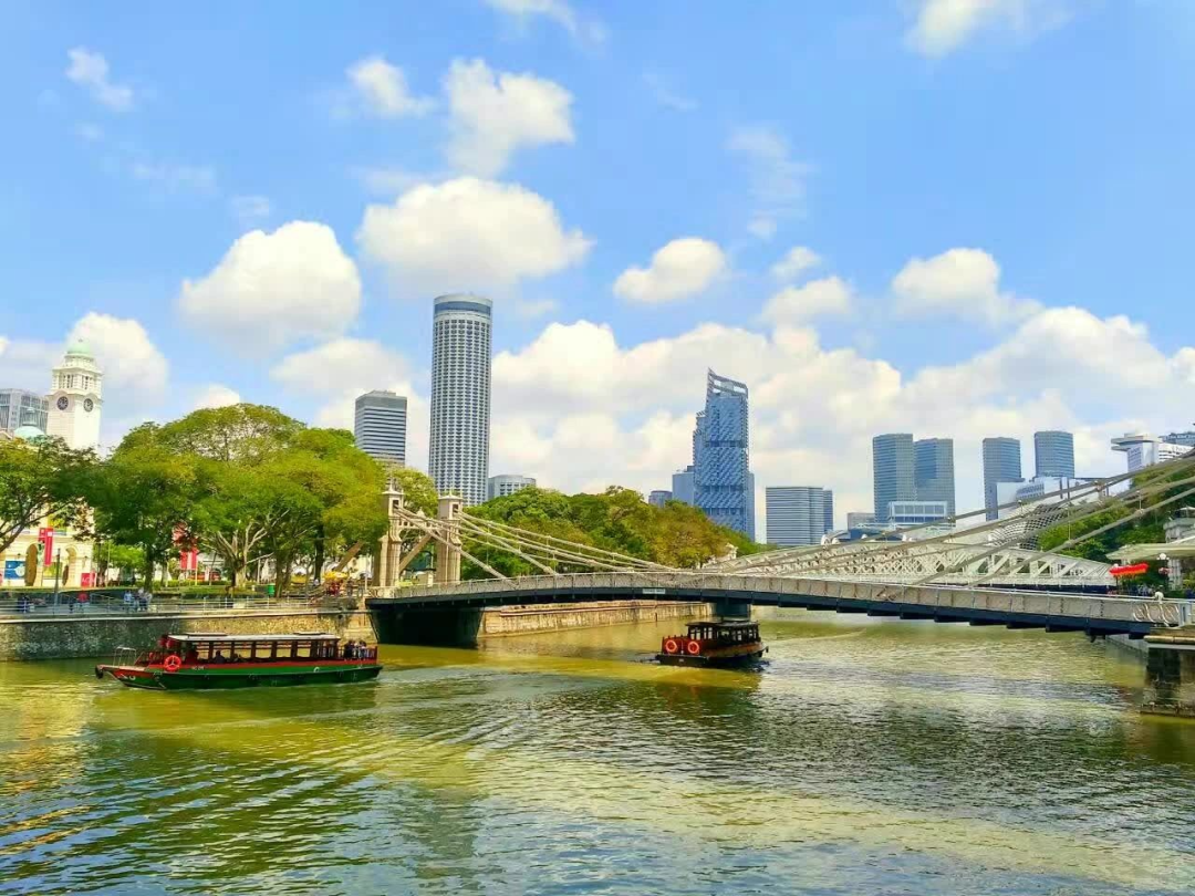 华人占人口75%的新加坡，中文为什么这么差？