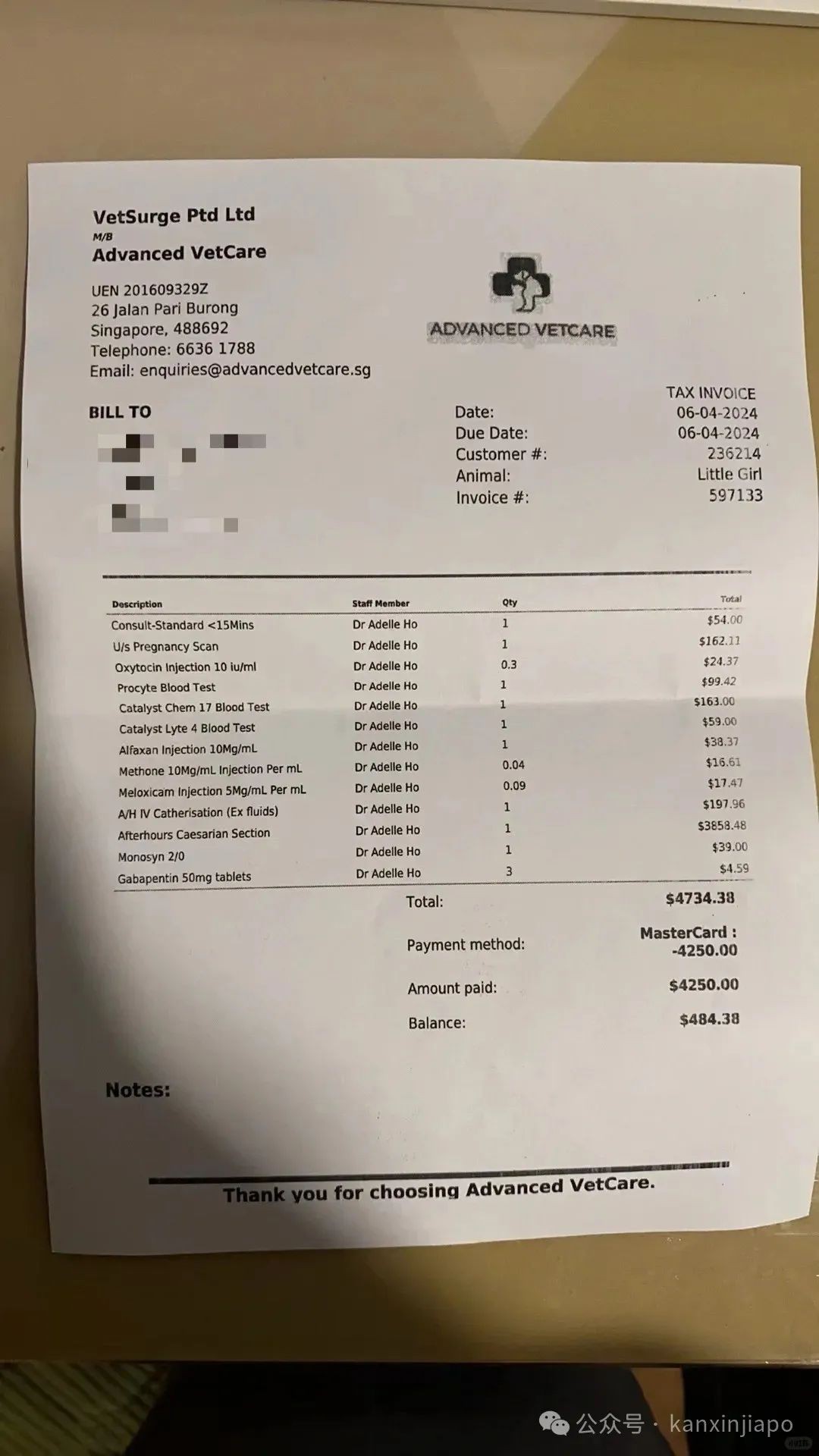 “在新加坡给小猫剖腹产要25000，比生孩子还贵！”