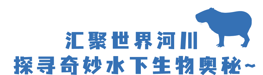 一日春游限定版野趣进行时，新加坡见！
