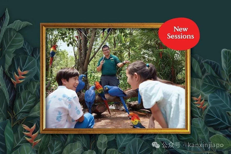 全网最全指南!新加坡万态野生动物世界最新活动,持续到9月