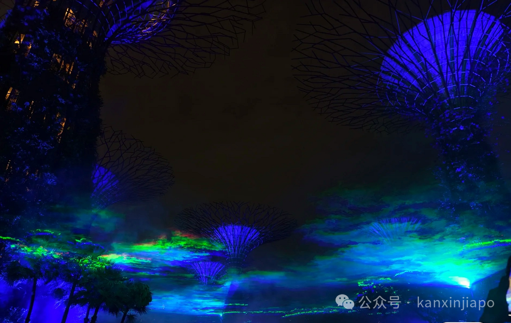 大量美图来袭 ！ “极光”笼罩滨海湾花园，2小时吸引万人观赏