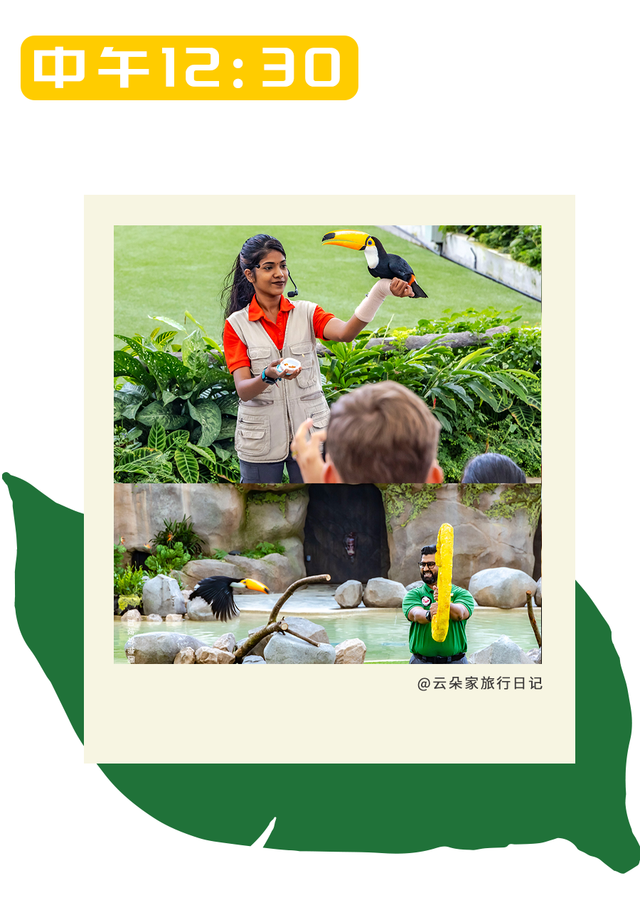 一日春游限定版野趣进行时，新加坡见！