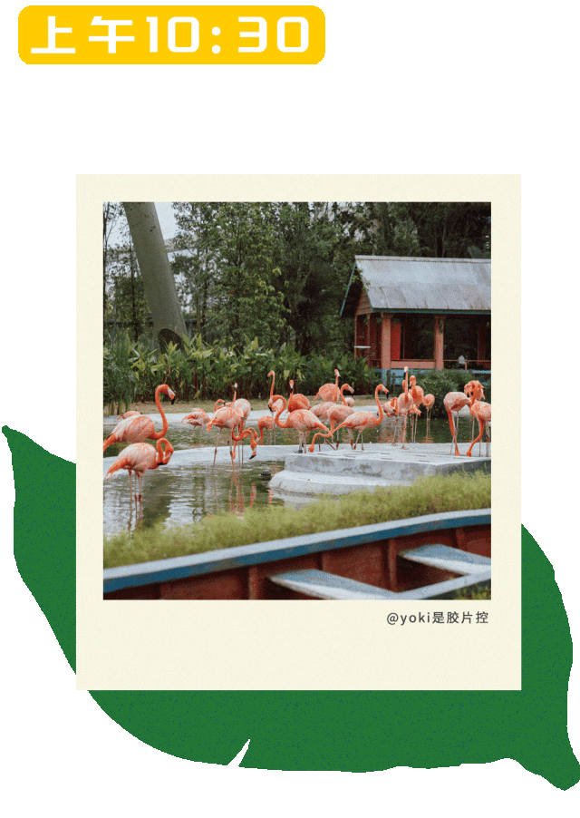 一日春游限定版野趣进行时，新加坡见！