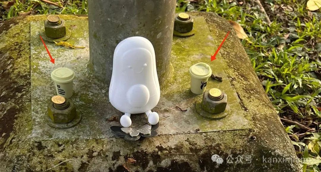 一天内“闪婚生娃”！新加坡NUS牛油果神进化到了第三代