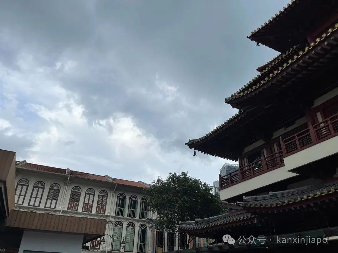 新加坡闹市的一方净土,免门票,还有好吃的平价素食