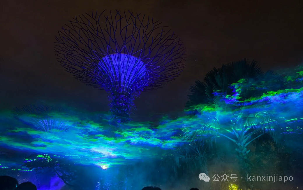大量美图来袭 ！ “极光”笼罩滨海湾花园，2小时吸引万人观赏