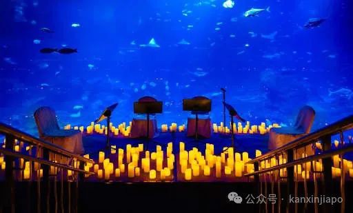 【下周活动】张惠妹演唱会加票开售、海底烛光音乐会、$5北京烤鸭