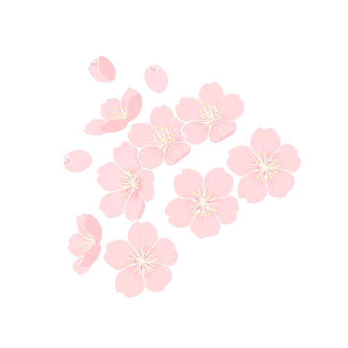 新加坡母亲节怎么过？西餐、中餐、蛋糕、花束都为你准备好了！
