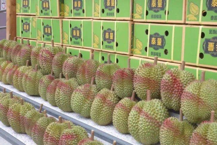 越南榴莲:凭什么挑战泰国榴莲霸主地位?
