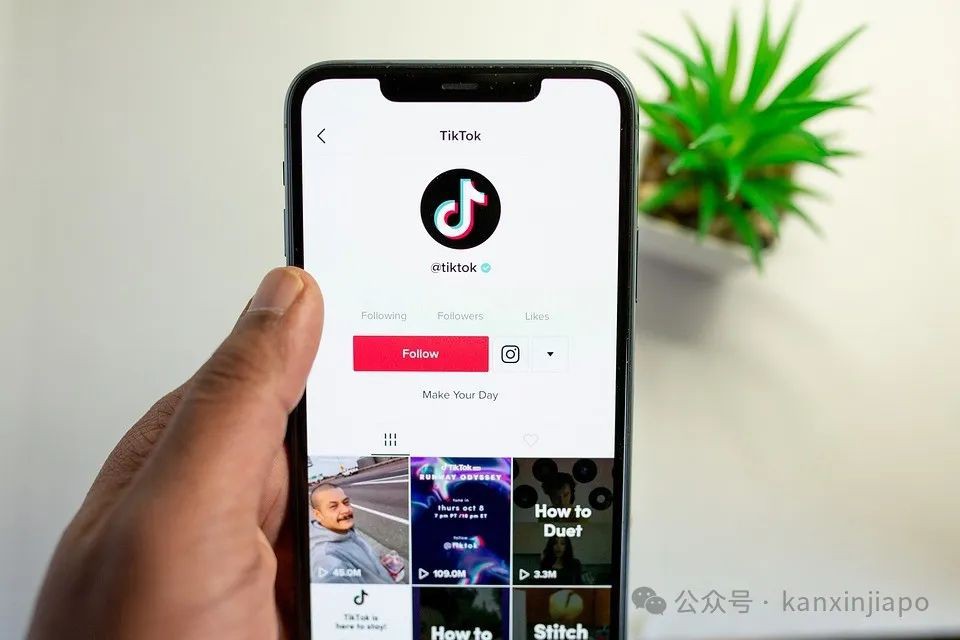 传TikTok将全球裁员，新加坡是否受影响？
