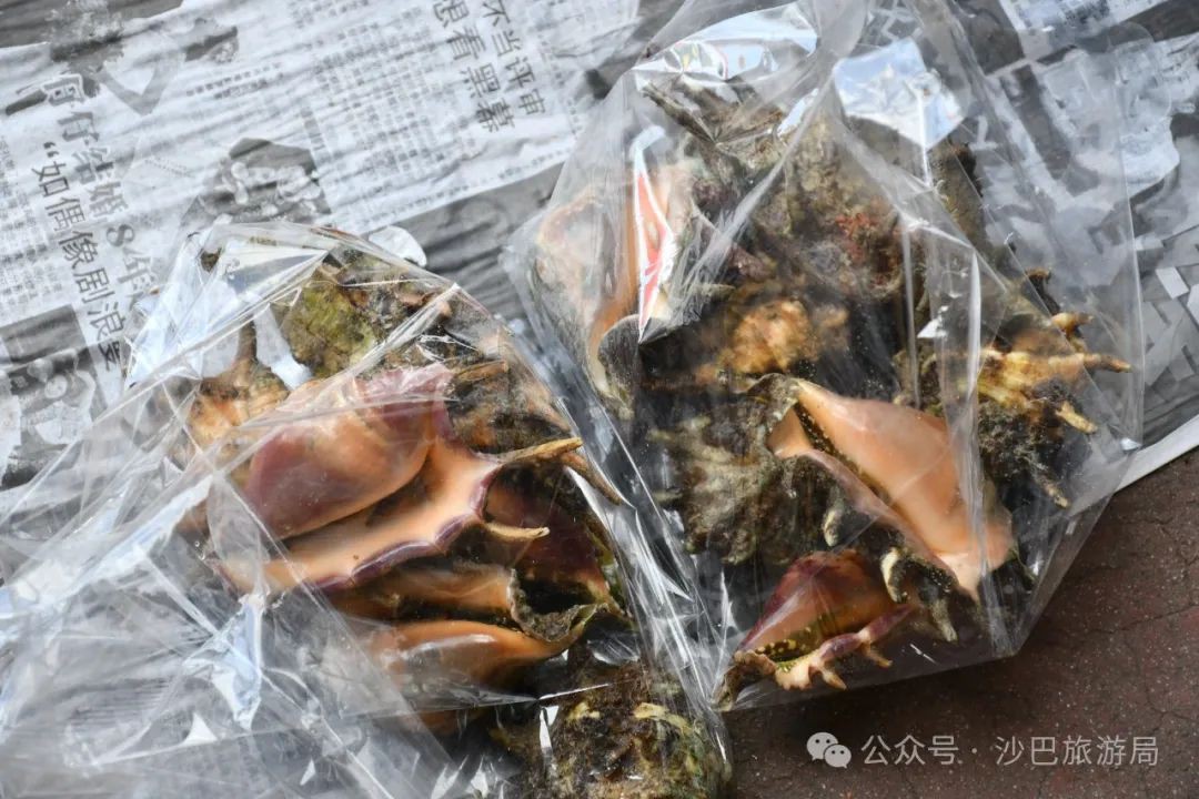 马来西亚沙巴古达的菜市场，有啥好逛？