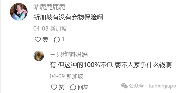 “在新加坡给小猫剖腹产要25000，比生孩子还贵！”