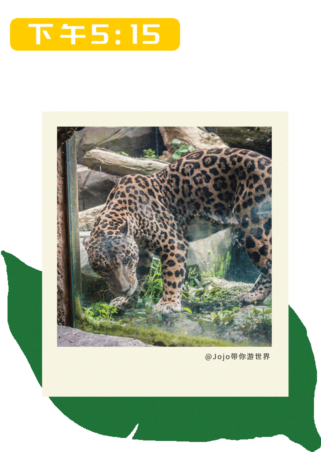 一日春游限定版野趣进行时，新加坡见！
