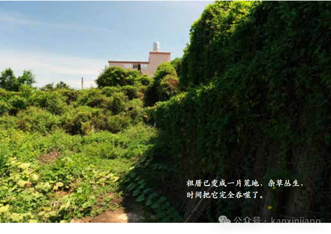 到底是“福建金门”?还是“台湾金门”?认祖归宗不是梦