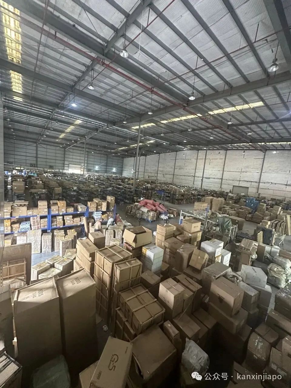 运价狂飙，运力紧张，还要涨多久？快看这家海运只要379人民币每立方！