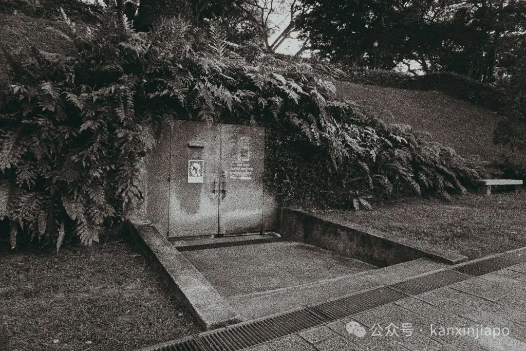 若当年战到最后一人，新加坡岂能被日寇凌辱奴役三年半？