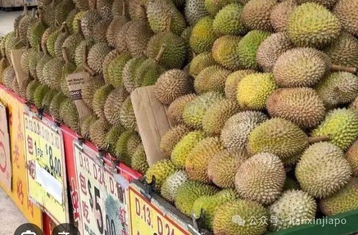 在新加坡买榴梿,小心这些套路