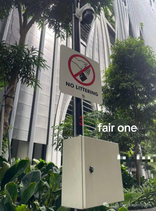 新加坡又被游客吐槽了!厕所、公园、商场到处都是nonono