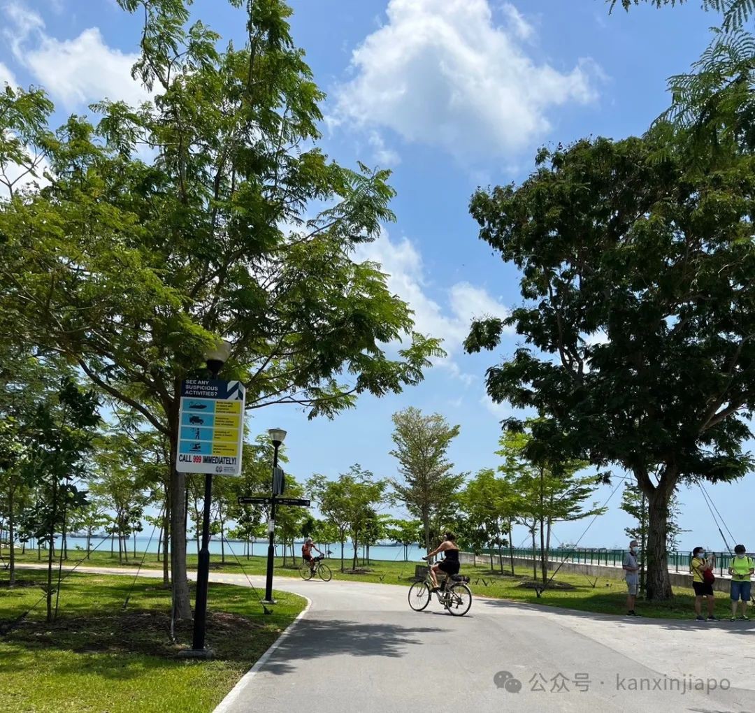 东海岸惊人发现!这才是新加坡的真面目!