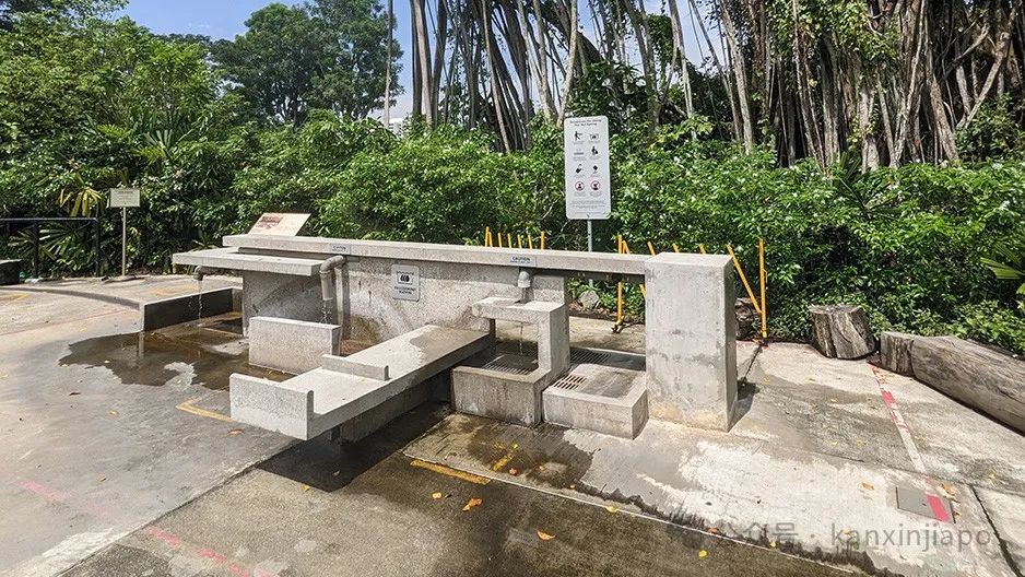 免签亲子游想来就来，新加坡这10个必打卡遛娃景点码住
