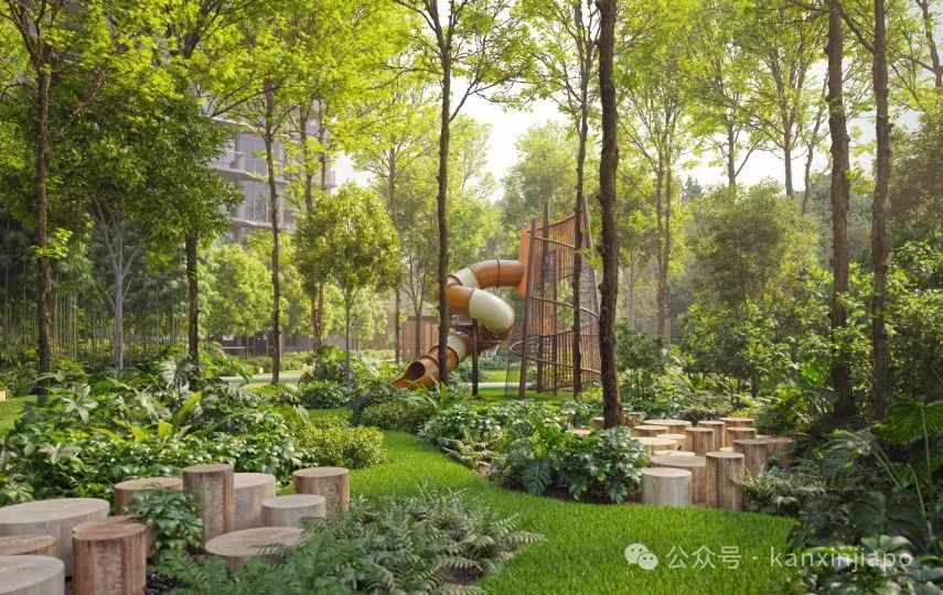 新加坡西部逛什么?神仙公园N种打开方式