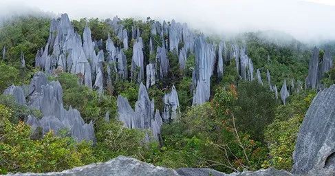 去马来西亚看热带雨林世界音乐节，从新加坡90分钟就能到