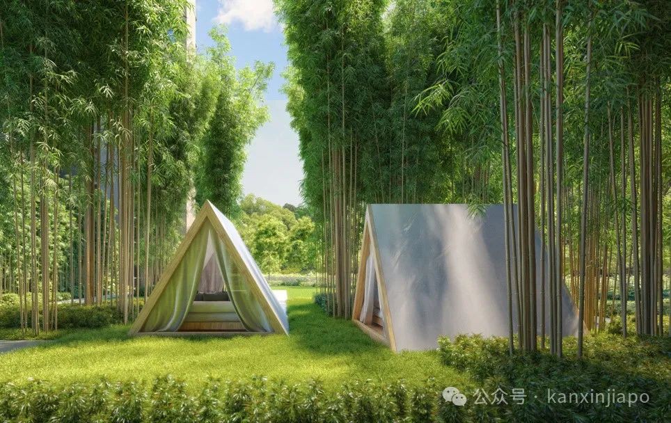 新加坡西部逛什么?神仙公园N种打开方式