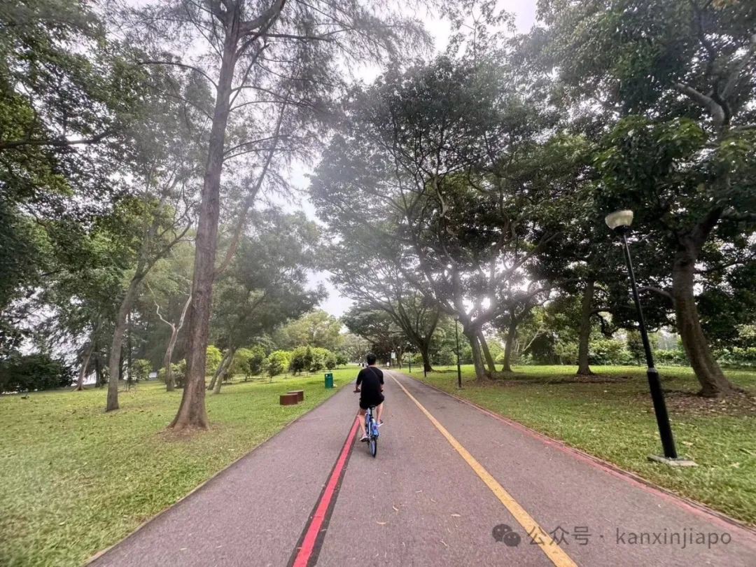 东海岸惊人发现!这才是新加坡的真面目!