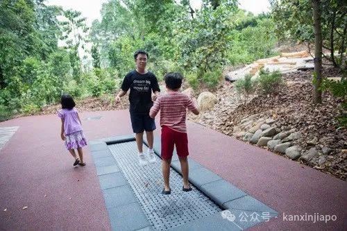 收藏贴 | 在新加坡遛娃不花钱!全岛30个室外游乐场好玩到尖叫