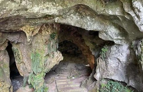 去马来西亚看热带雨林世界音乐节，从新加坡90分钟就能到
