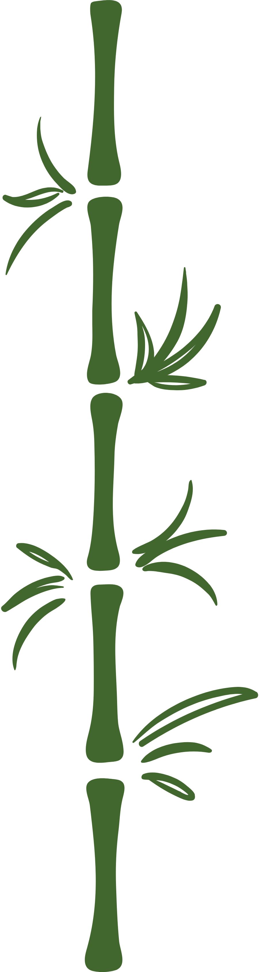 新加坡最美的徒步路线!Coast-to-Coast,一路尽享公园景色