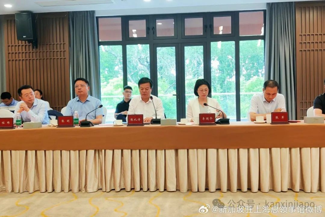 新加坡驻沪总领事率团访扬州,探索市场新机遇