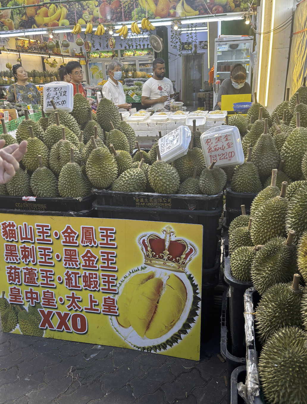 在新加坡实现猫山王自由!榴莲季这些挑选技巧请收好