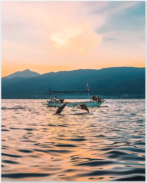 巴厘岛,顶级遛娃海岛,应该怎么玩?