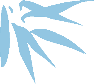 端午节泰国一日游好去处,泰国吃喝玩乐玩透透!