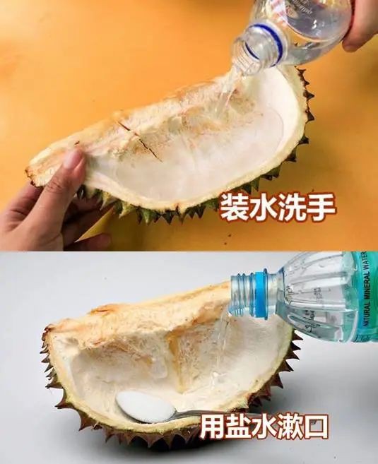 在新加坡实现猫山王自由!榴莲季这些挑选技巧请收好