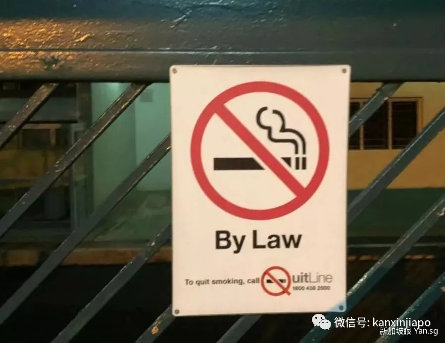 新加坡又被游客吐槽了!厕所、公园、商场到处都是nonono