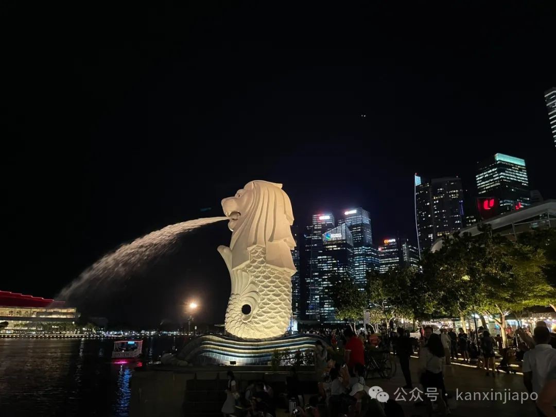 放弃国内高校老师的工作来新加坡，飞机上却泪流满面
