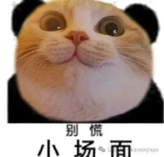 运价狂飙，运力紧张，还要涨多久？快看这家海运只要379人民币每立方！