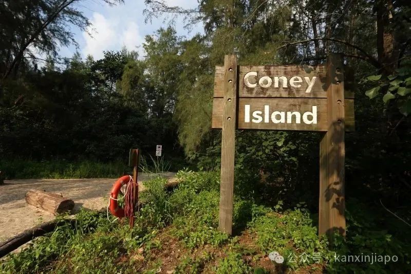 新加坡最美的徒步路线!Coast-to-Coast,一路尽享公园景色