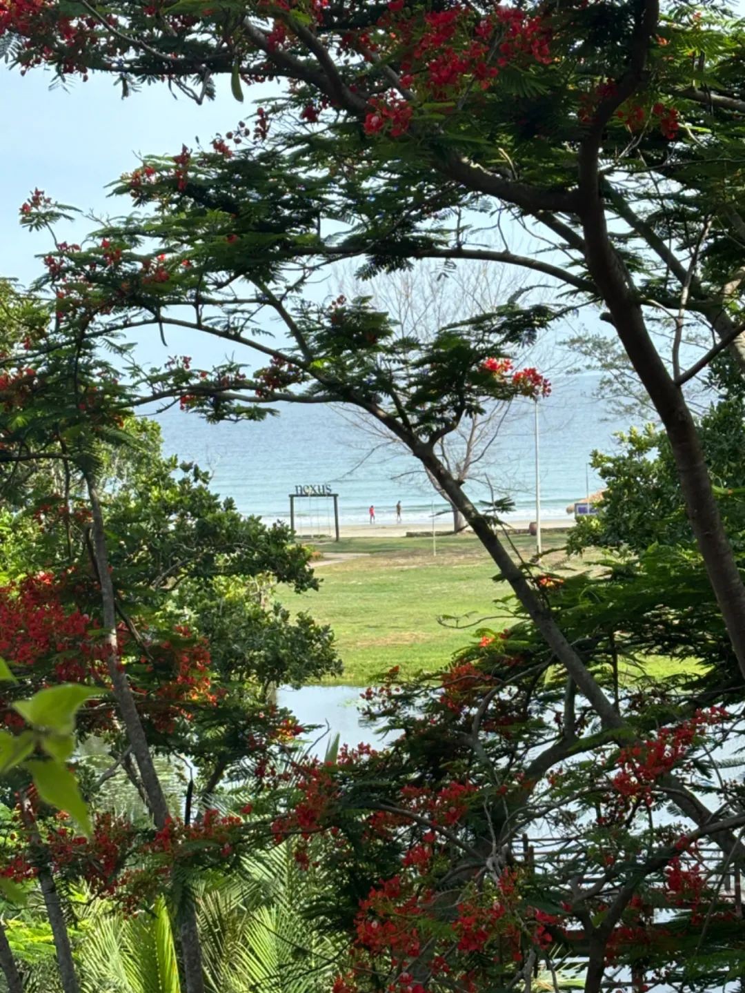海滩，清真寺，特色美食，来马来西亚沙巴感受不一样的海岛风情