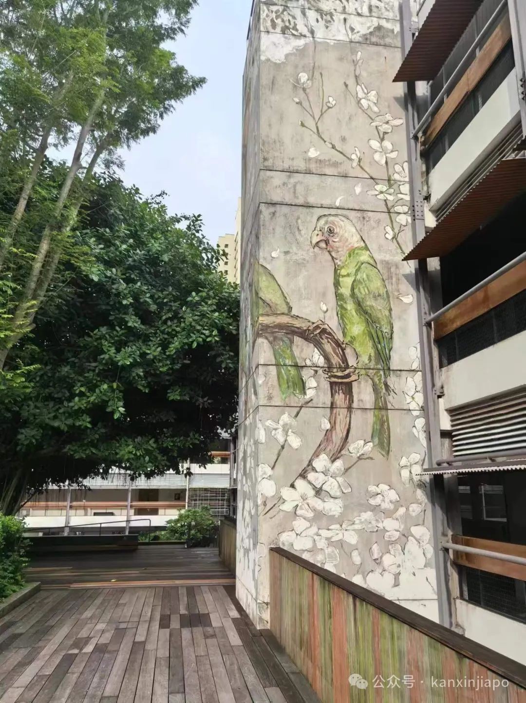 这位新加坡残障人士跑完了一场马拉松
