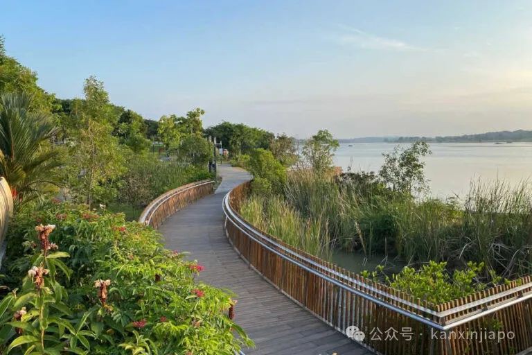 新加坡最美的徒步路线!Coast-to-Coast,一路尽享公园景色