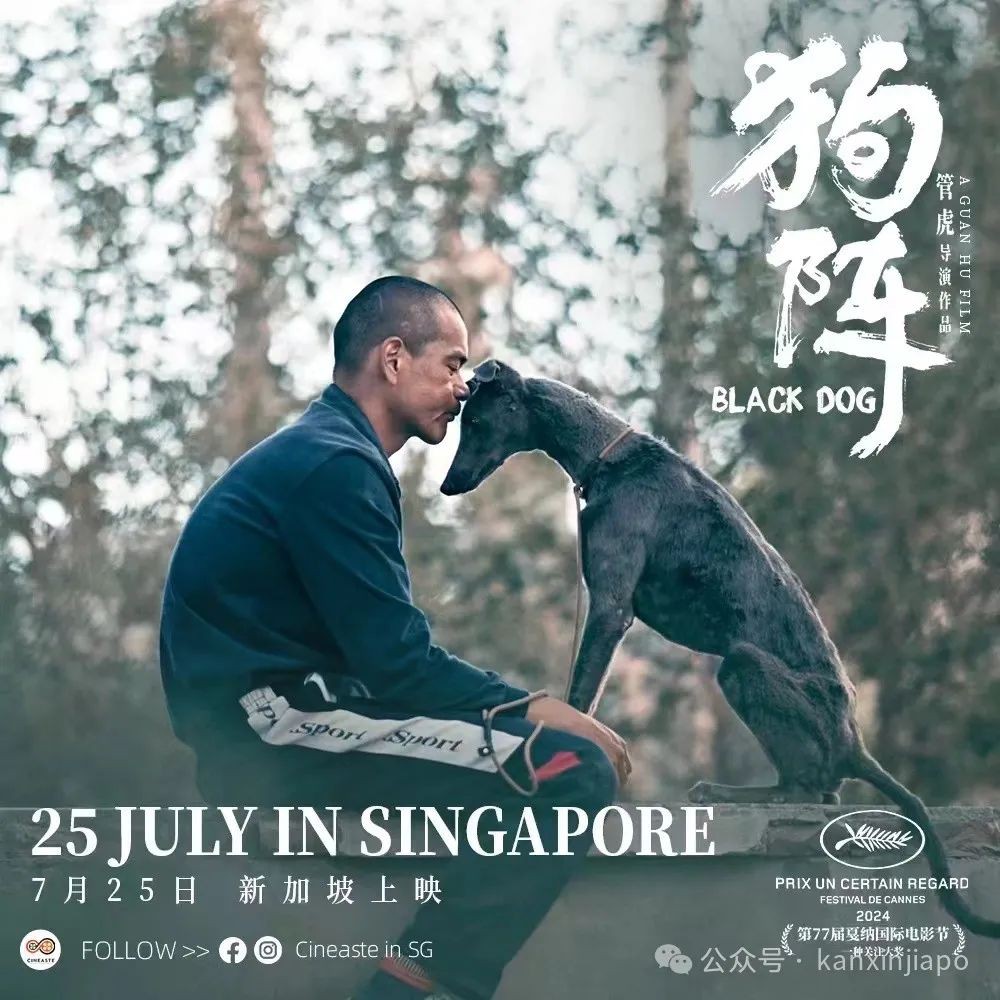 彭于晏即将“登陆”新加坡,爱狗人士都疯了