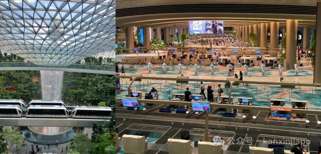 国际赛事/新加坡国立大学人工智能训练营,名额靠抢