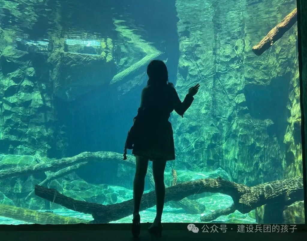 第一次去新加坡 ，被樟宜机场迷住了