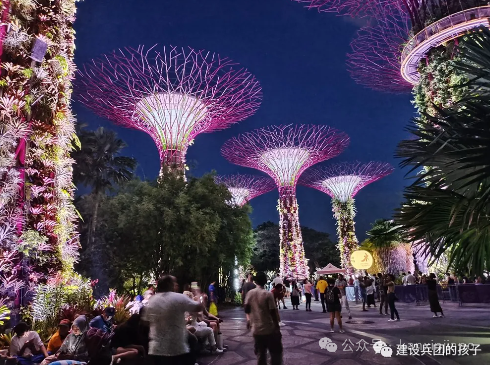 滨海湾夜景!第一次去新加坡不能错过这里